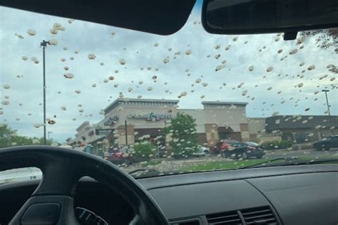 Report of ‘poop rain’ falling on cars in Burnsville prompts U.S. Rep. Angie Craig to request FAA investigation